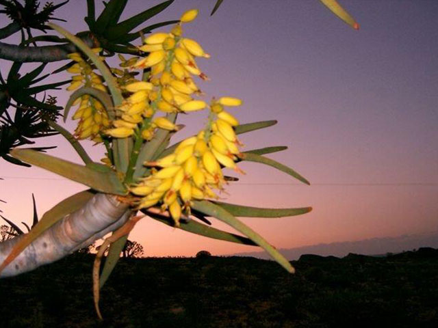 Kenhardt Area - Bushmanland Accommodation