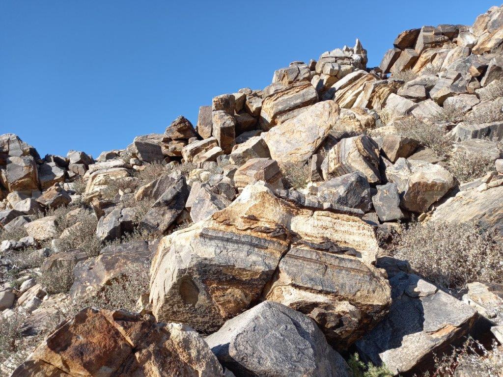 Photo Fossil Hunt - Kenhardt