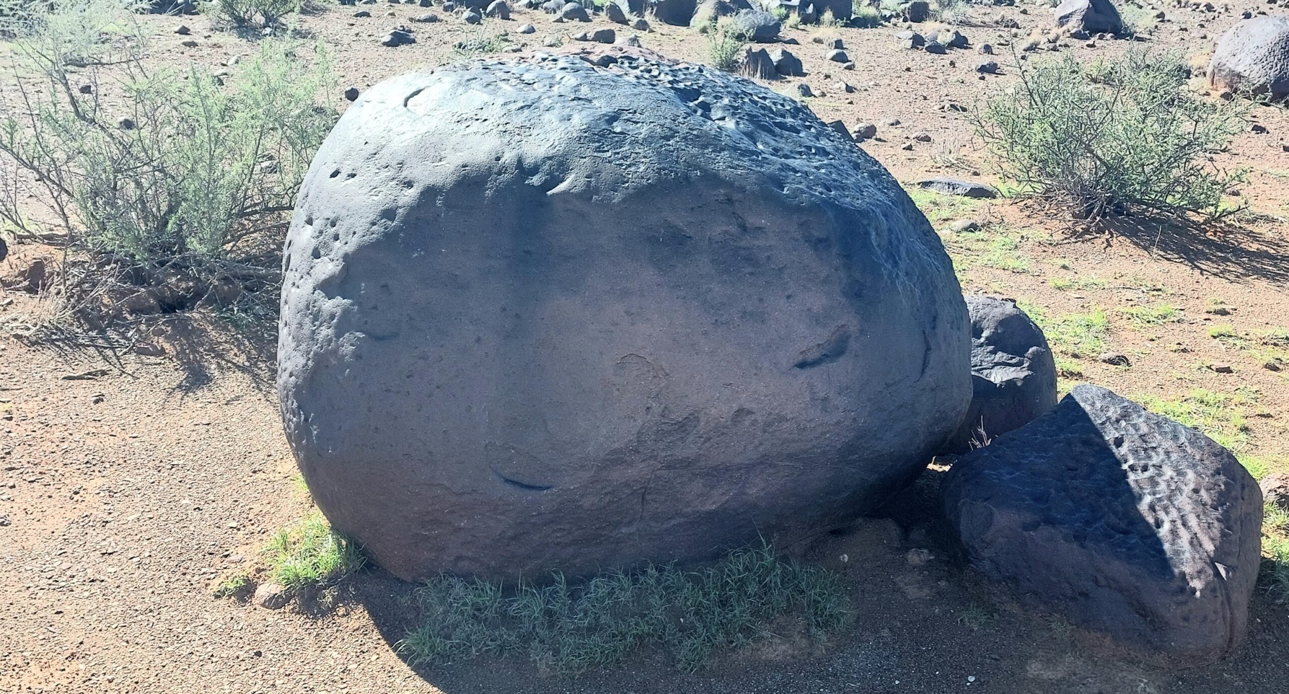 Photo Fossil Hunt - Kenhardt