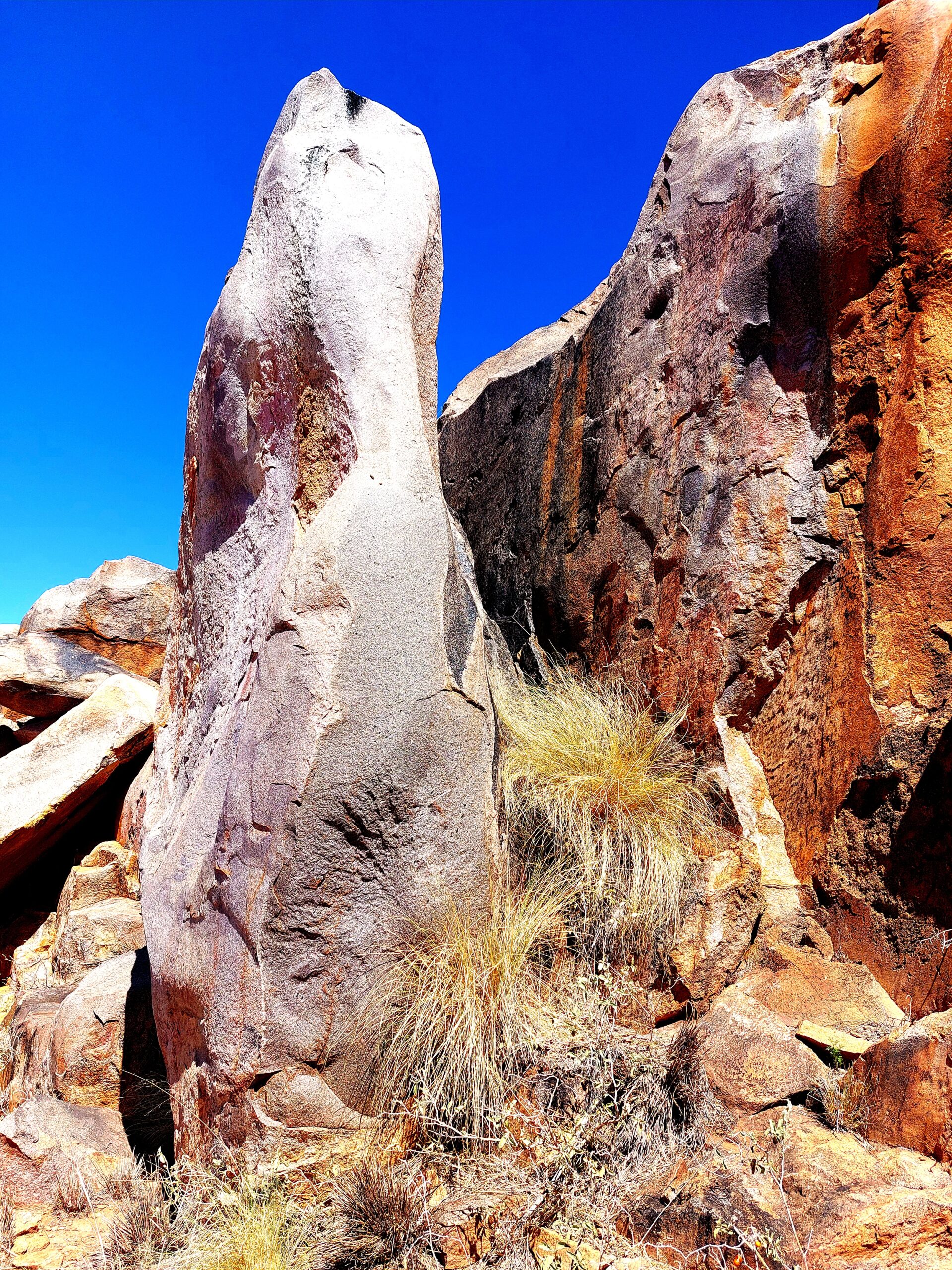 Photo Fossil Hunt - Kenhardt