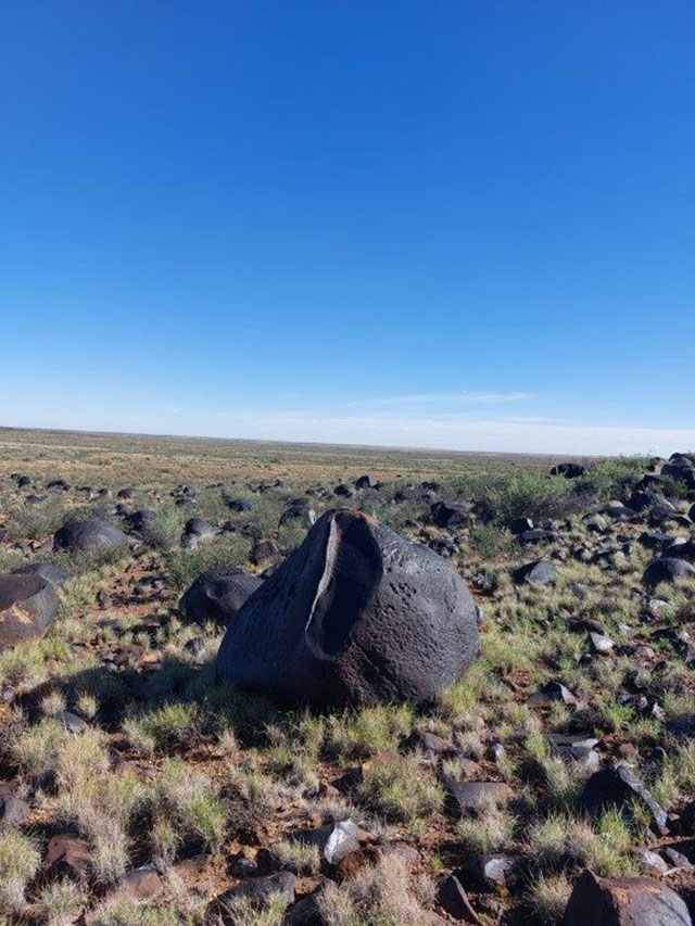 Photo Fossil Hunt - Kenhardt