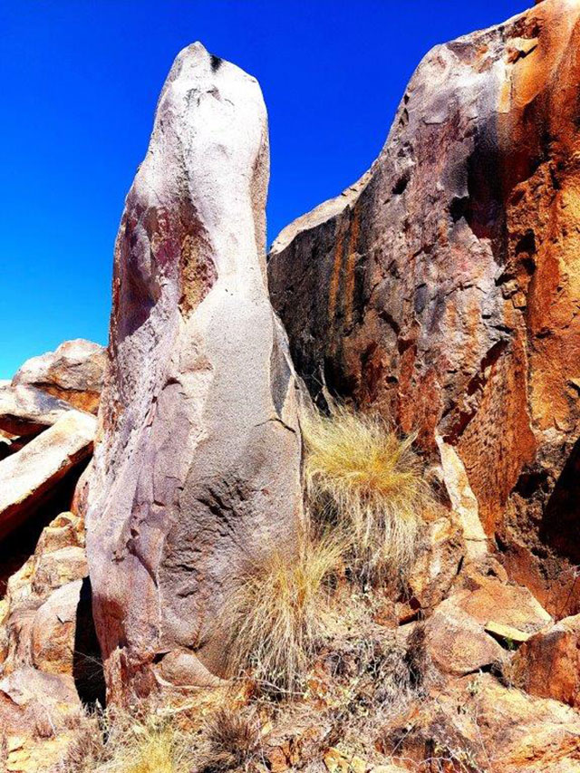 Photo Fossil Hunt - Kenhardt
